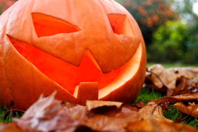Dekoracje z dyni na Halloween