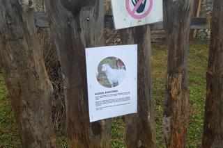 Będzińska Szopka Bożonarodzeniowa