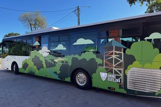 Nowe autobusy w Osiecznej 