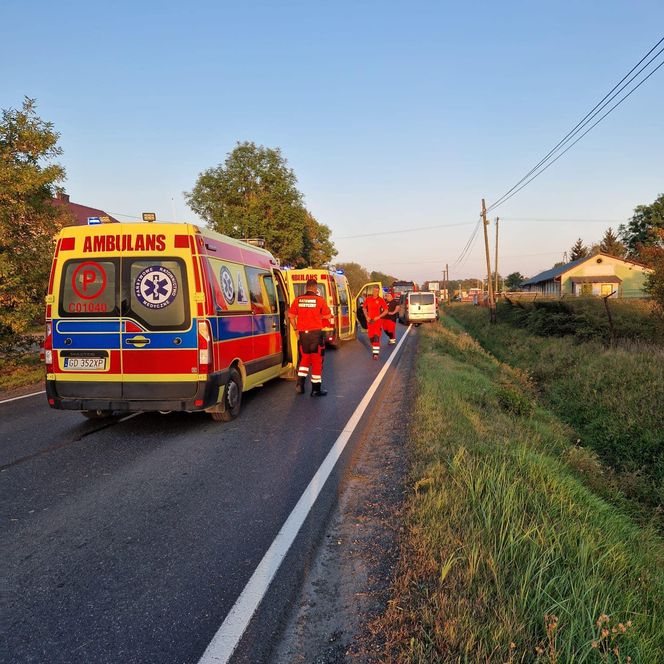 Tragiczny wypadek na DK 15 pod Mogilnem! Nie żyje 15-latek [ZDJĘCIA]