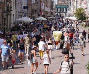 Tłumy turystów w Gdańsku. Ulice pękają w szwach 
