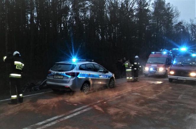 Poważne zderzenie czołowe na drodze krajowej K55