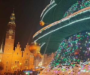 Ale blask! Choinka we Wrocławiu już świeci! Świątecznie rozświetliła cały Rynek [ZDJĘCIA]