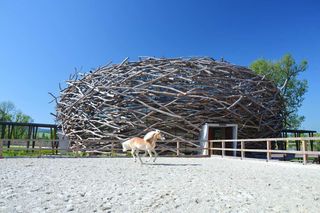 SGL Projekt - The Stork Nest Farm 