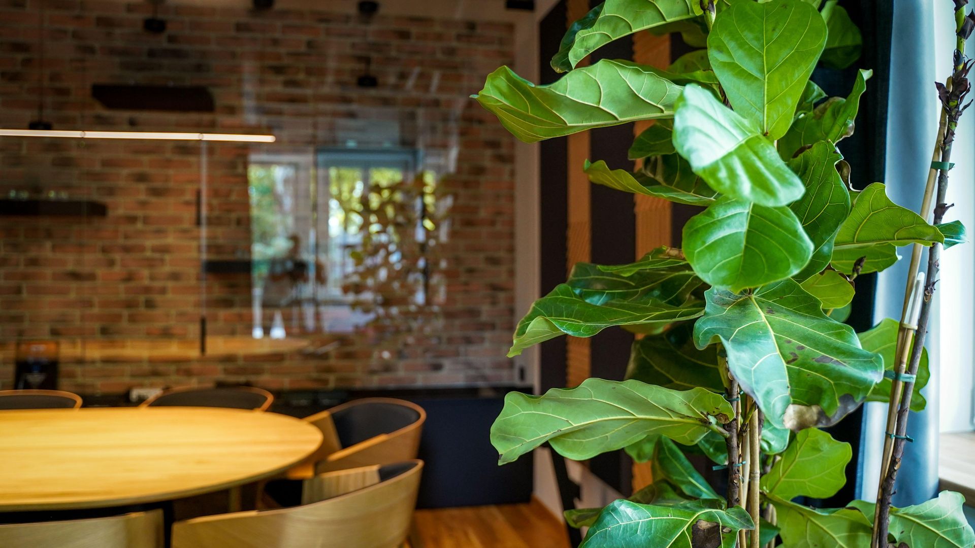 Willa Michejdy w Katowicach przy Kościuszki po remoncie