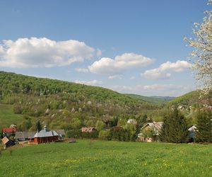 To wyjątkowa wieś na mapie Małopolskie. Kiedyś wykuwano w niej przydrożne krzyże