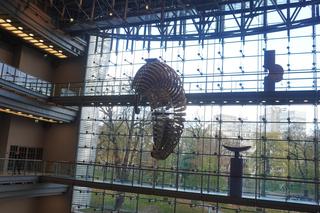 Sztuka w CH Stary Browar w Poznaniu