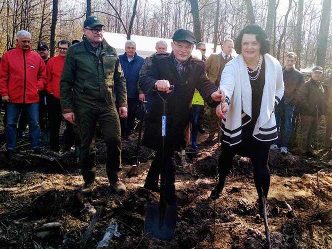 Katowice: Leśnicy sadzą na Muchowcu nowe drzewa [ZDJĘCIA, AUDIO]