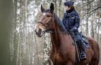 Policjantka wróciła na służbę