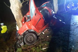 Auto rozbiło się na drzewie. Paweł, Arek i Artur nie żyją. Wcześniej kupili alkohol