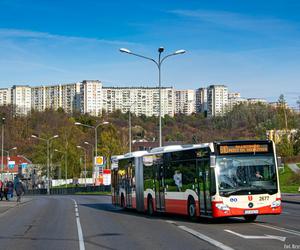 Wszystkich Świętych 2023. Zmiany w organizacji ruchu i komunikacji miejskiej w okolicach cmentarzy