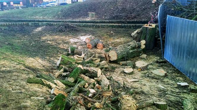 Drzewa zniknęły ze skarpy pod Zamkiem Książąt Pomorskich