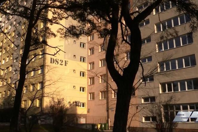 Dwa samobójstwa młodych osób w krótkim czasie w Bydgoszczy. Czy można było temu zapobiec? [WIDEO NOWA TV 24 GODZINY]
