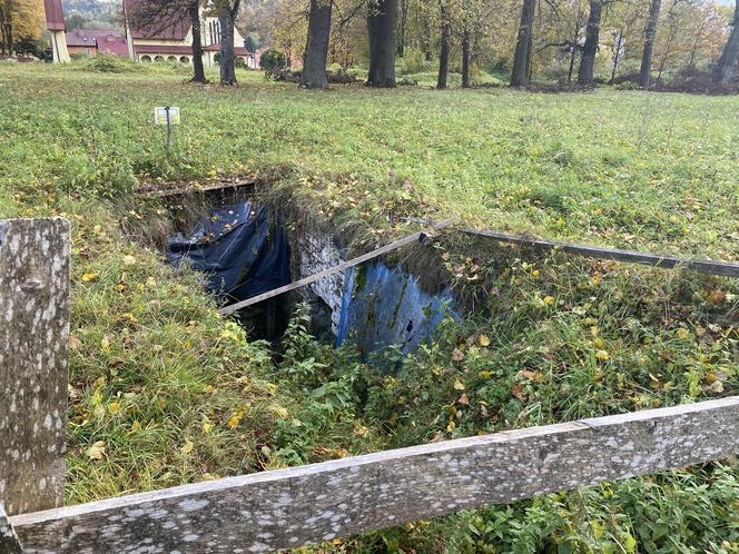 Zamek w Dąbrówce Starzeńskiej