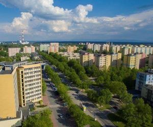 W tych miastach województwa śląskiego jest najwięcej Żabek