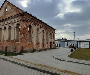 Działoszyce