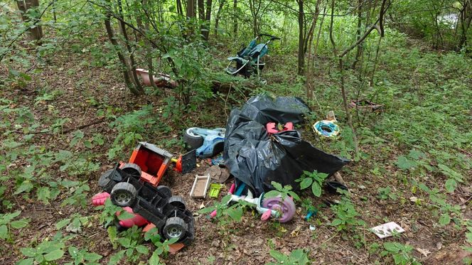 Zgroza w lesie pod Świeciem! Martwy pies w worku foliowym ze związanymi łapami. Policja szuka sprawcy bestialskiego czynu