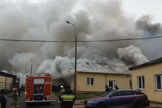 Bisztynek: Pożar fabryki mebli. Część budynku się zawaliła [WIDEO, ZDJĘCIA]