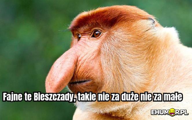 Memy o Bieszczadach