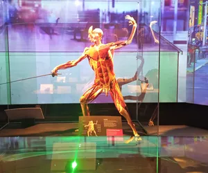 Jednych szokuje, innych zachwyca. Kontrowersyjna wystawa Body Worlds zagościła w Szczecinie