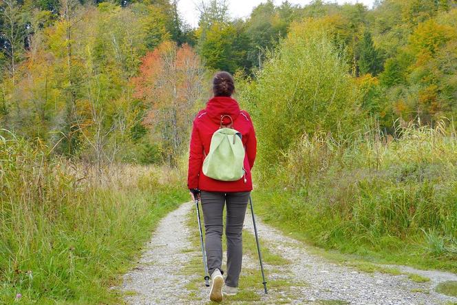 2. Gmina Cisna w powiecie leskim: 5,9 mieszkańców na 1 km kwadratowy.