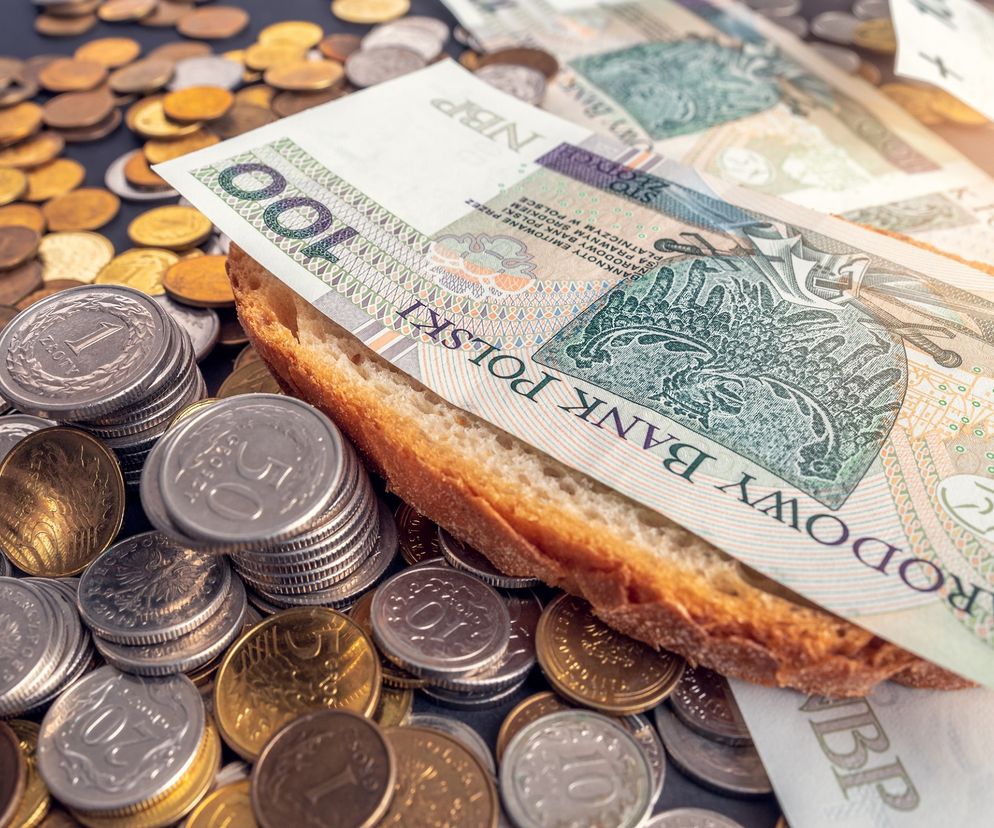 Bezwarunkowy dochód podstawowy 2023 - 1300 zł dla każdego Polaka