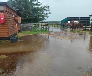Przystań Ocalenie w Ćwiklicach zalana po ulewnych deszczach. Potrzebna pomoc