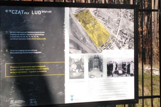 Cmentarz Żydowski na Bródnie nie stanie się w całości parkiem. Historyczna część zostanie ogrodzona! 