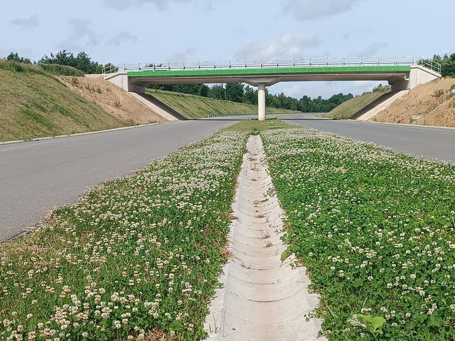 Obwodnica Wąchocka (czerwiec 2025)