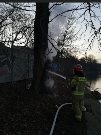 Urządził sobie śmietnik w drzewie. O krok od tragedii