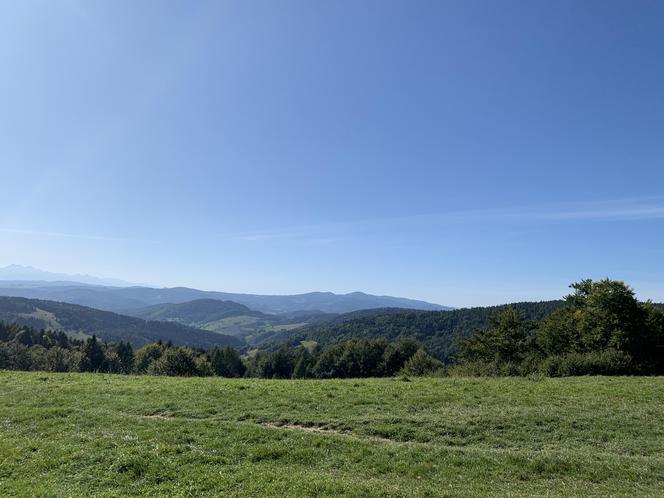 Bacówka Nad Wierchomlą w Beskidzie Sądeckim. To prawdziwy turystyczny hit!