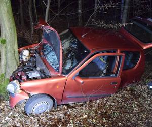 ​Kierowca fiata uderzył autem w drzewo. Wypadek na trasie Nowa Wieś-Żegrowo 