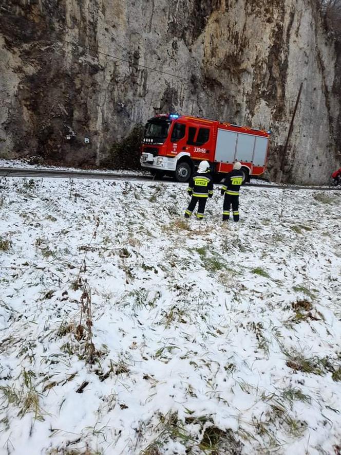 Strażacy uratowali pieska, który utknął na skalnej półce