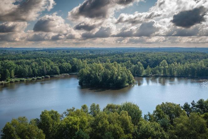 Kolejna inwestycja na stawie Balaton. Prace mają zostać wykonane do końca roku