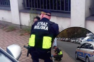 Zobaczyli mężczyznę siedzącego na chodniku, obok plamę krwi. Od razu ruszyli na pomoc