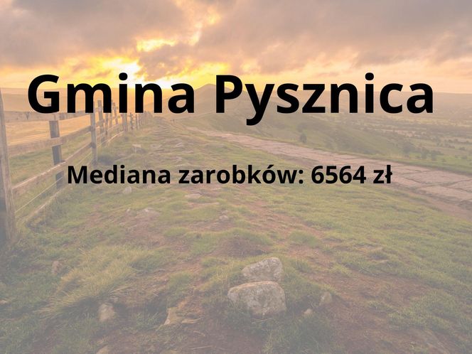 W tych gminach na Podkarpaciu zarabia się najwięcej 