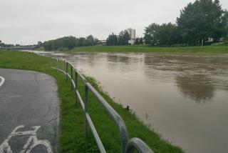 Wisłok zbliża się do progu alarmowego - 23 czerwca