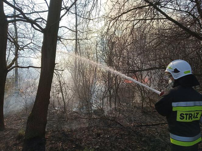 Potężny pożar na Śląsku! Strażacy kilka godzin walczyli z ogniem
