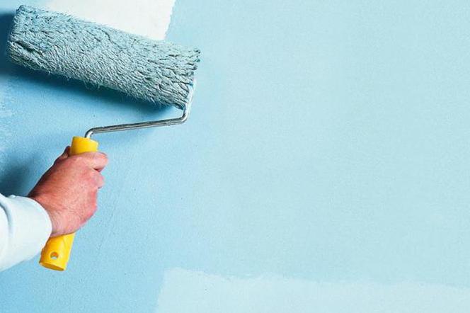 Czym malować ściany: wałkiem czy pędzlem? Praktyczny poradnik malowania ścian