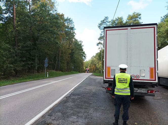 Samborowo: Kontrole iławskiego oddziału Inspekcji Transportu Drogowego