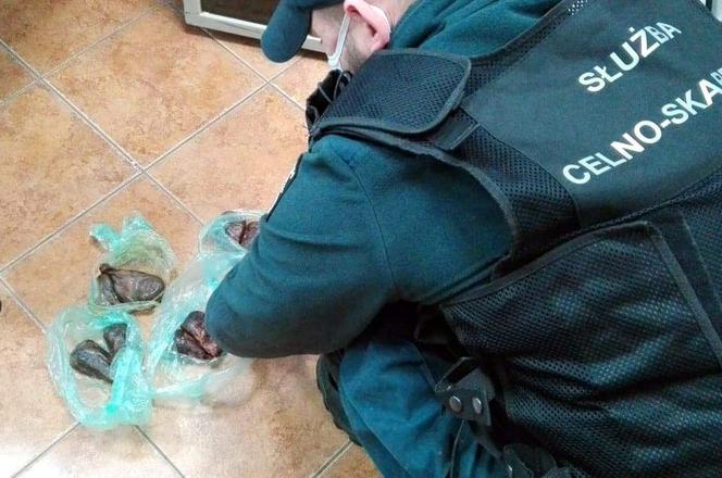 Kuźnica. Nielegalny przemyt skór bobra na granicy