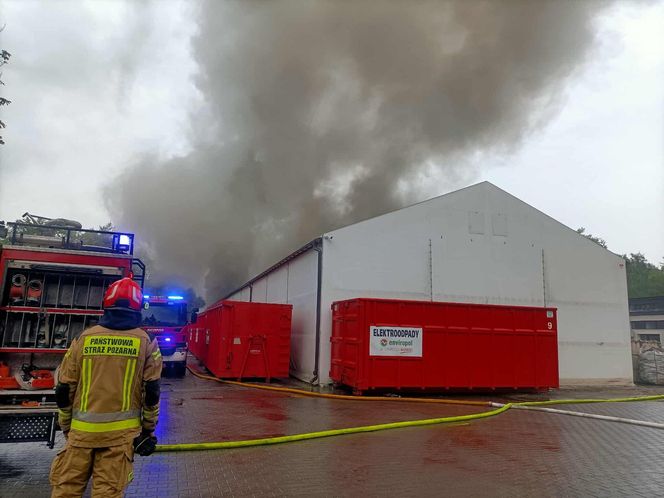 Wielki pożar hali w Gliwicach! Chmura dymu nad miastem