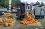 Dyniowa Stacja Rudy i Pumpkin Express