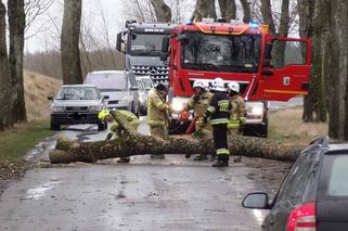 Niszczycielska wichura w Kaliszu! Połamane drzewa i uszkodzone dachy!