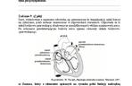 Matura 2013 biologia p. rozszerzony