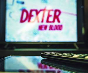 Naoglądał się seriali i poćwiartował kobietę