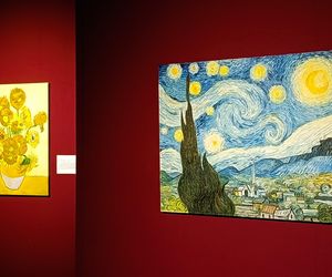 Wystawa VAN GOGH – The Immersive Exhibition w Szczecinie