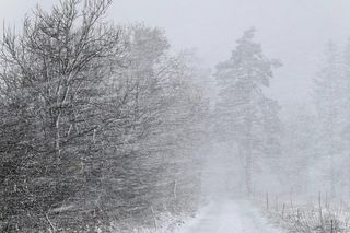 Pierwszy zimowy weekend w Bieszczadach