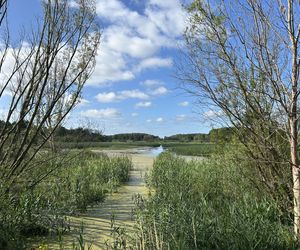 Łynostrada w Olsztynie zalana. Będą naprawy, a może i kładka!