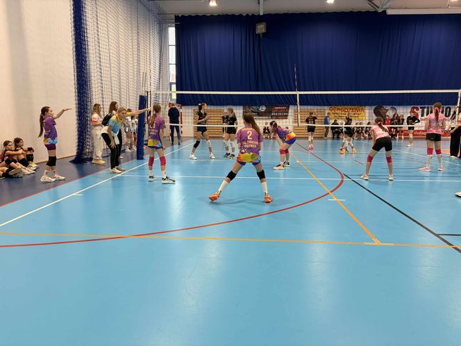 Siatkarski turniej z okazji Święta Niepodległości w Grudziądzu